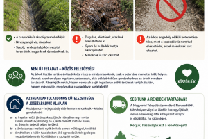 Tiszta árkok